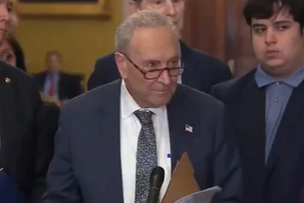 Listen to Chuck Schumer’s Lame Excuse for Cowardly Democrats Not Attending Hearing on Biden’s Mental Decline (VIDEO) |