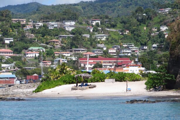 Living near an ocean polluted by microplastics may increase cardiometabolic disease risk