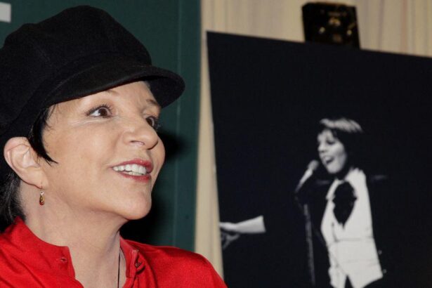 Liza Minnelli’s Divorce PTSD Revealed
