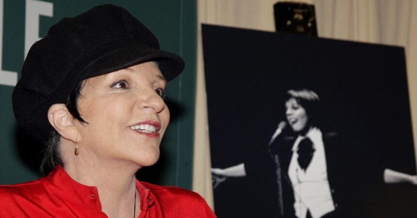 Liza Minnelli’s Divorce PTSD Revealed