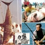 Long Island’s ‘monster’ shark hunter legend may have inspired ‘Jaws,’ iconic Capt. Quint