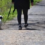 Longer walks linked to lower risk of chronic low back pain