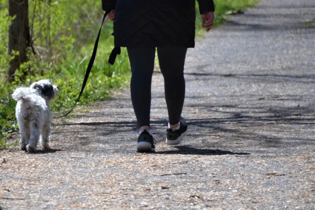 Longer walks linked to lower risk of chronic low back pain