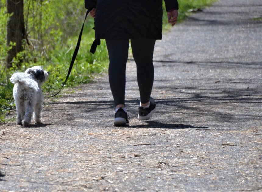 Longer walks linked to lower risk of chronic low back pain