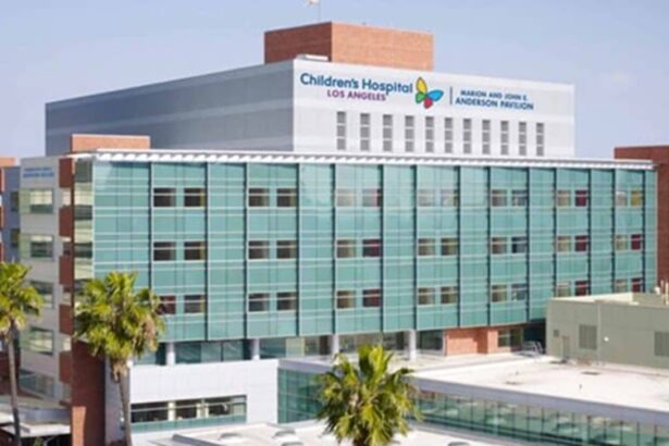 Los Angeles Children’s Hospital Shutting Down ‘Transgender’ Youth Clinic Amid Federal Pressure |