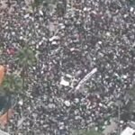 Los Angeles Roars Back At Trump With Massive No Kings Protest