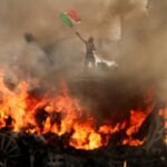 MARLY HORNIK: Anarchy in LA Exposes the Brute Pragmatism of Progressive Politics