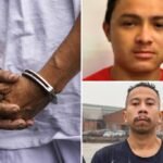 MS-13 migrants slaughtered members of their own gang on Long Island for being ‘disloyal:’ federal prosecutors