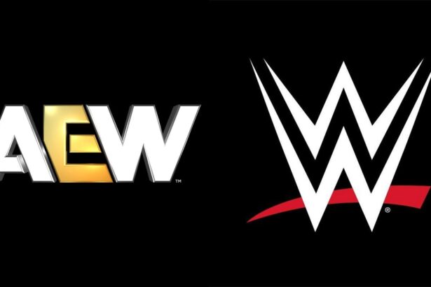 Major star confirms interest in joining AEW after being fired from WWE