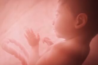 Man Defaces Pro-life Exhibit at UCLA – Campus So Far Has Not Publicly Responded to the Incident |
