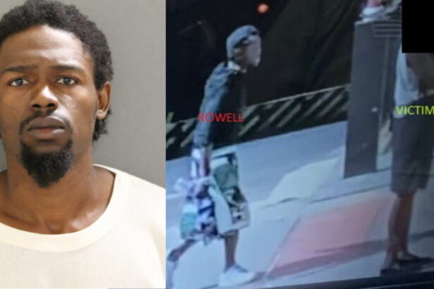 Man attacked 3 women in Lakeview and the Loop , state and federal prosecutors say