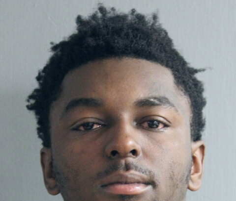 Man charged with carjacking off-duty security guard near Wicker Park has extensive experience with similar allegations