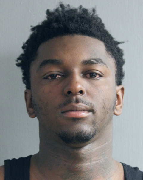 Man charged with carjacking off-duty security guard near Wicker Park has extensive experience with similar allegations