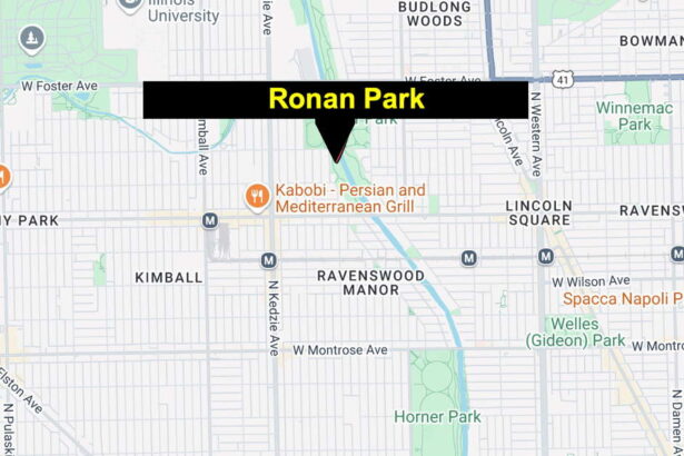 Man found murdered near Albany Park playground