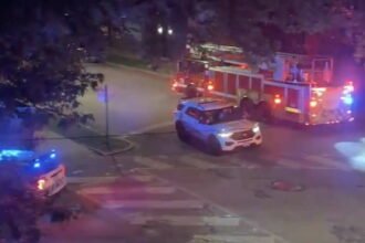 Man shot, killed at Bucktown park