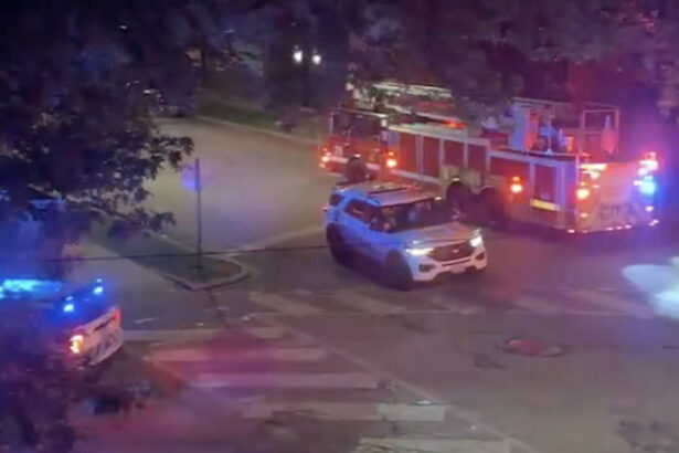 Man shot, killed at Bucktown park