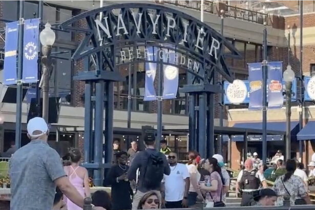 Man stabbed to death in domestic altercation at Navy Pier beer garden