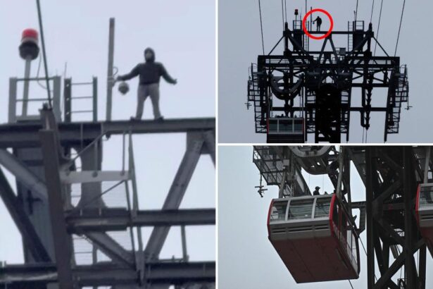 Masked daredevil who climbed atop Roosevelt Island tram is charged in reckless stunt