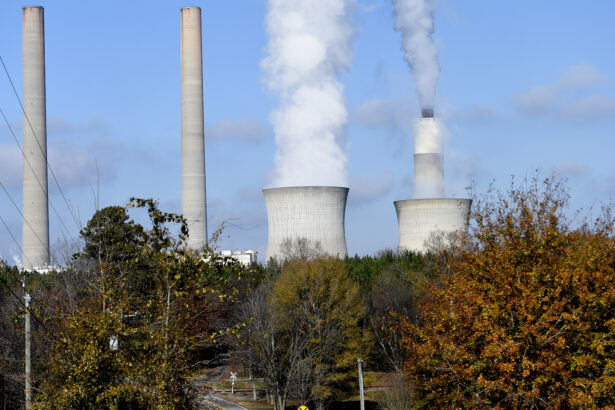 Meet the candidates for the Georgia PSC