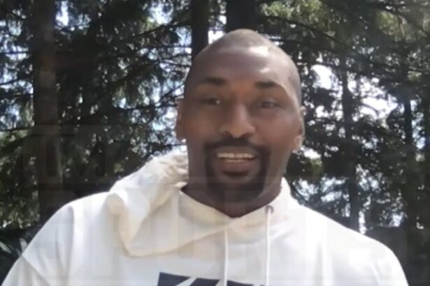 Metta World Peace Wants Knicks’ Head Coaching Spot, I’ve Been Ready!