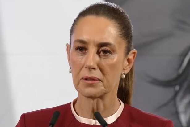 Mexican President Sheinbaum Slams ICE Raids on Illegal Aliens — Claims Deportations Will Damage the U.S. Economy |