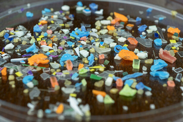 Microplastics Have a Concerning Effect on The Microbes in Our Gut : ScienceAlert