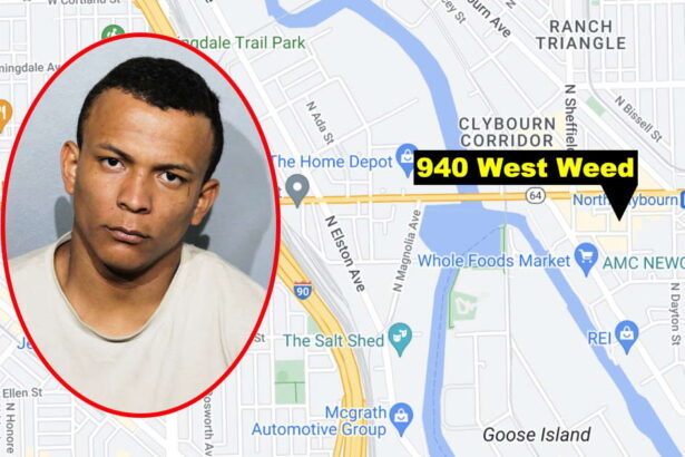 Migrant gets 3-year sentence for mugging woman near Goose Island (but he’ll be out in under a year)