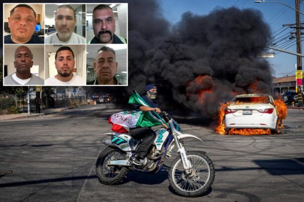 Migrants busted in LA include convicted sex abusers, drug dealers and gang members: ICE