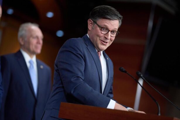 Mike Johnson downplays Musk’s influence and says Republicans will pass Trump’s tax and budget bill