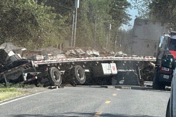 Millions Of Honeybees Escape After Truck Overturns