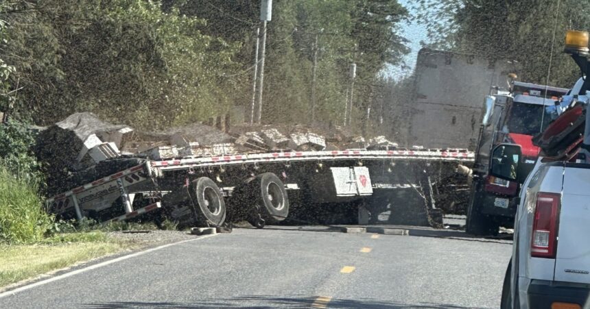 Millions Of Honeybees Escape After Truck Overturns