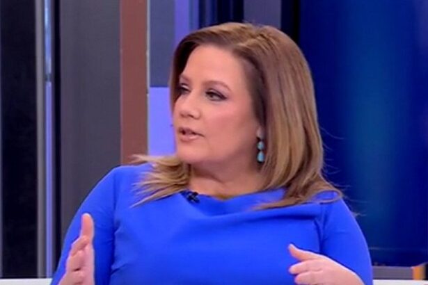 Mollie Hemingway: Media is Gaslighting the Public Over LA Riots Just Like They Did With Joe Biden (VIDEO) |