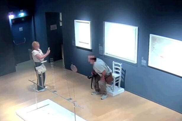 Museum Visitors Sit on and Crush “Van Gogh Chair”