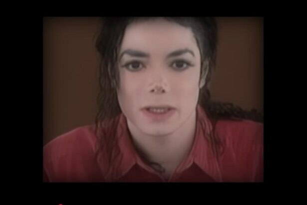 Music Lawyer Saw Michael Jackson Go From Normal to Totally Insane