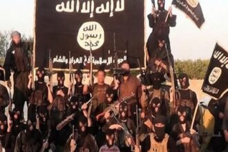 Muslim Immigrant Recruited For Jihad in Chicago |