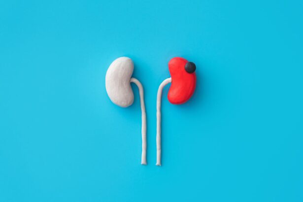 My Kidney Cancer Taught Me That Patients Aren’t Consumers