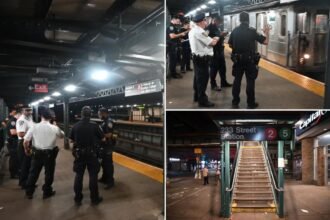 NYC subway passenger stabbed in chest and neck on Bronx 2 train