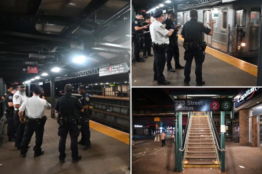 NYC subway passenger stabbed in chest and neck on Bronx 2 train