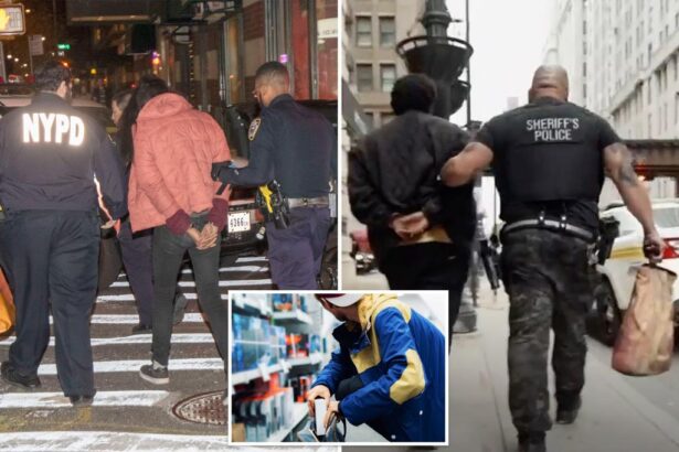 Nationwide retail crime crackdown leads to over 400 arrests at major chains