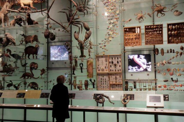 Nature’s Memory review: A new book reveals the deep flaws in our natural history museums