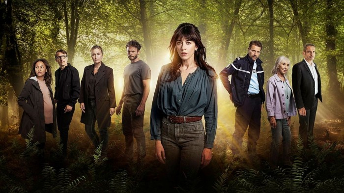 Netflix strikes landmark deal with France’s TF1 to show traditional TV