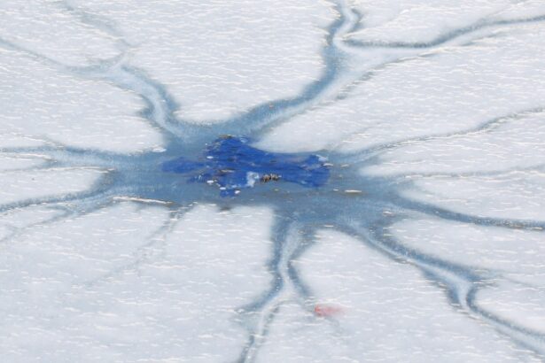 New Clues Emerge on How Life Survived ‘Snowball Earth’ : ScienceAlert