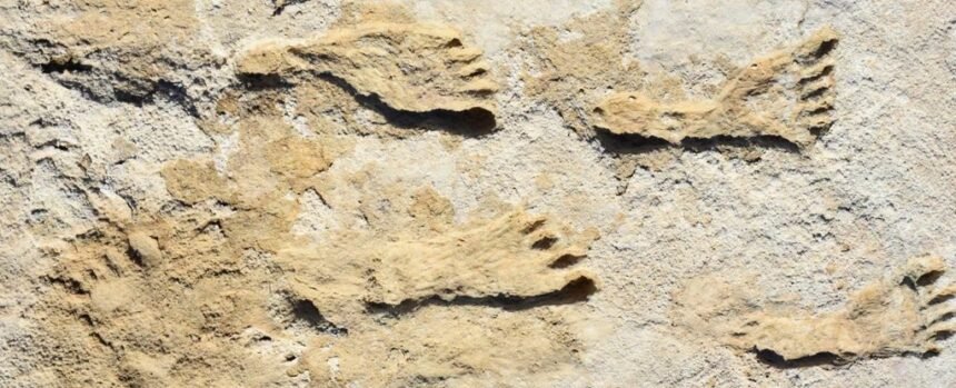New Mexico Footprints Rewrite Timeline of Humans in America : ScienceAlert