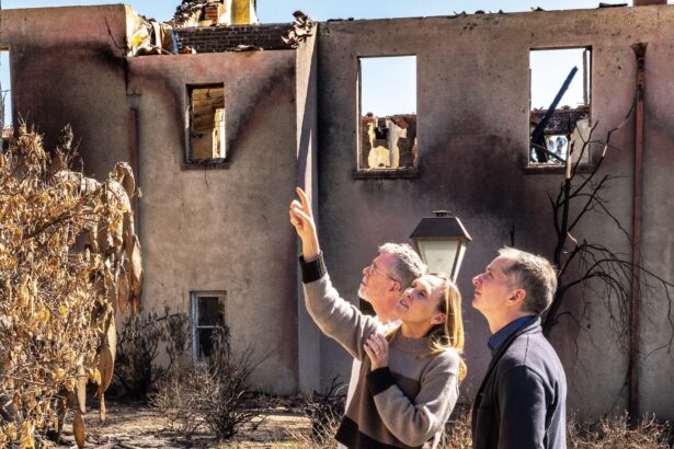 New Project Will Map Fire-Ravaged Altadena’s Cultural Heritage 