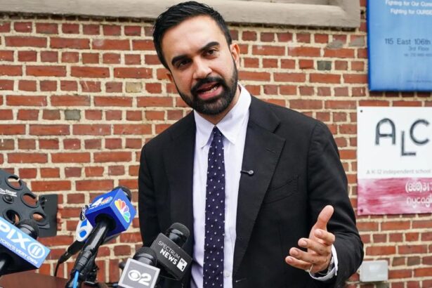 New Yorkers face awful choices for mayor but they must keep Mamdani off their ballots