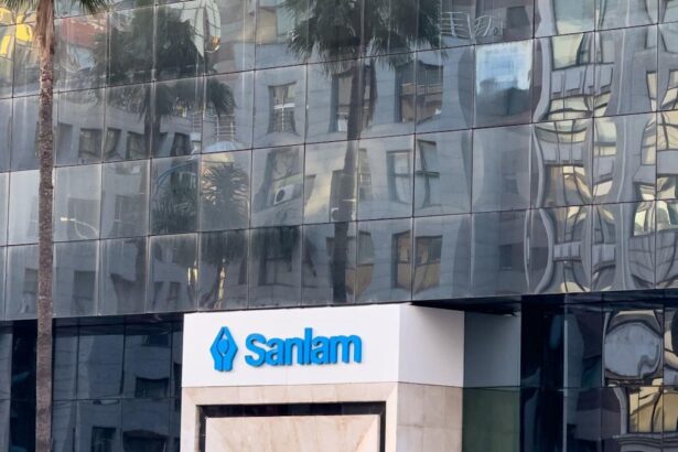 Ninety One to complete Sanlam Investments UK transfer