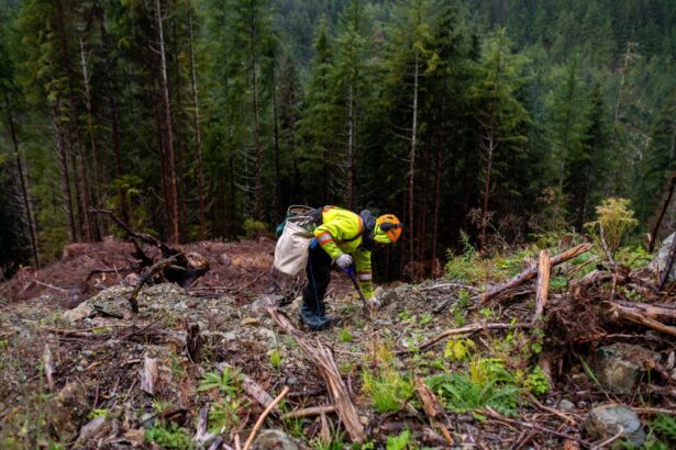 Offsetting global fossil fuel stores by planting trees is impossible