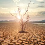Our Atmosphere’s Growing Thirst Is a Hidden Cause of Worsening Droughts : ScienceAlert