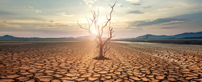 Our Atmosphere’s Growing Thirst Is a Hidden Cause of Worsening Droughts : ScienceAlert