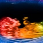 Our big brains may have evolved because of placental sex hormones